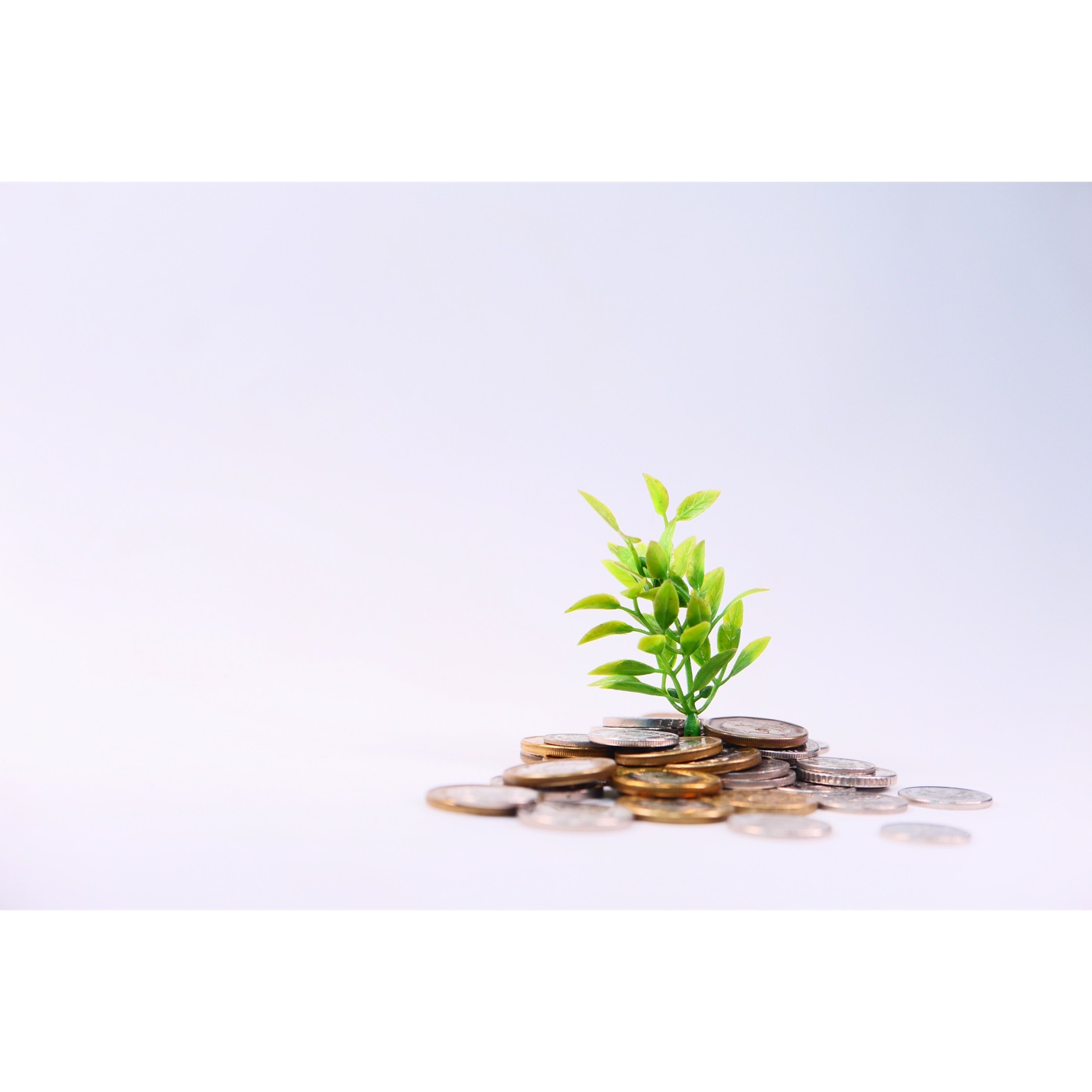 A small plant growing out of a pile of coins, representing funded community impact.